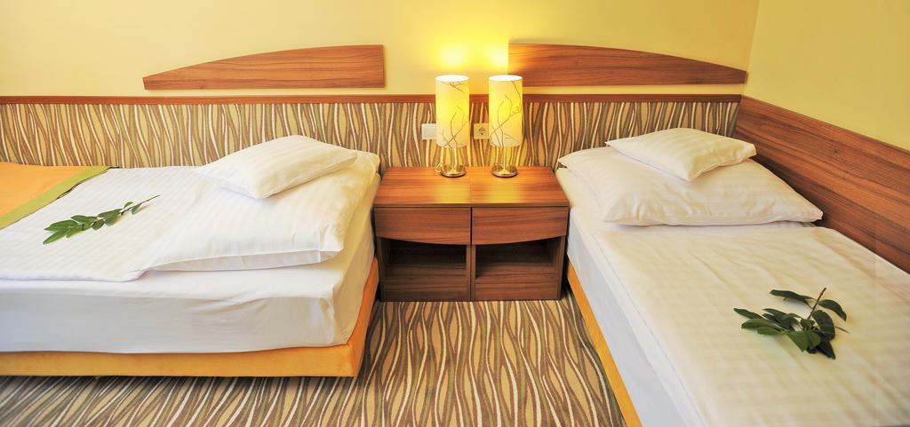 Park Hotel Gyula Phòng bức ảnh