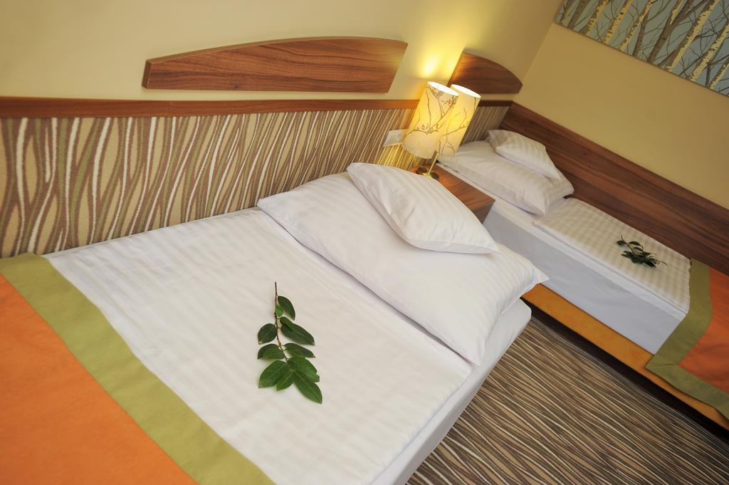 Park Hotel Gyula Phòng bức ảnh