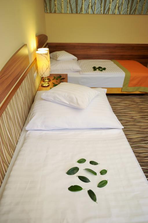 Park Hotel Gyula Phòng bức ảnh