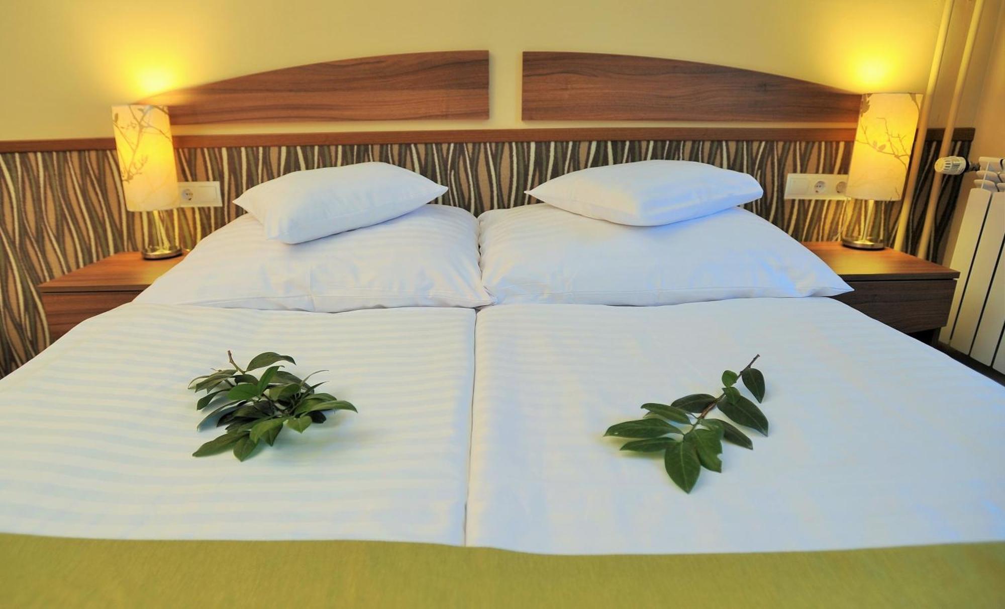 Park Hotel Gyula Ngoại thất bức ảnh