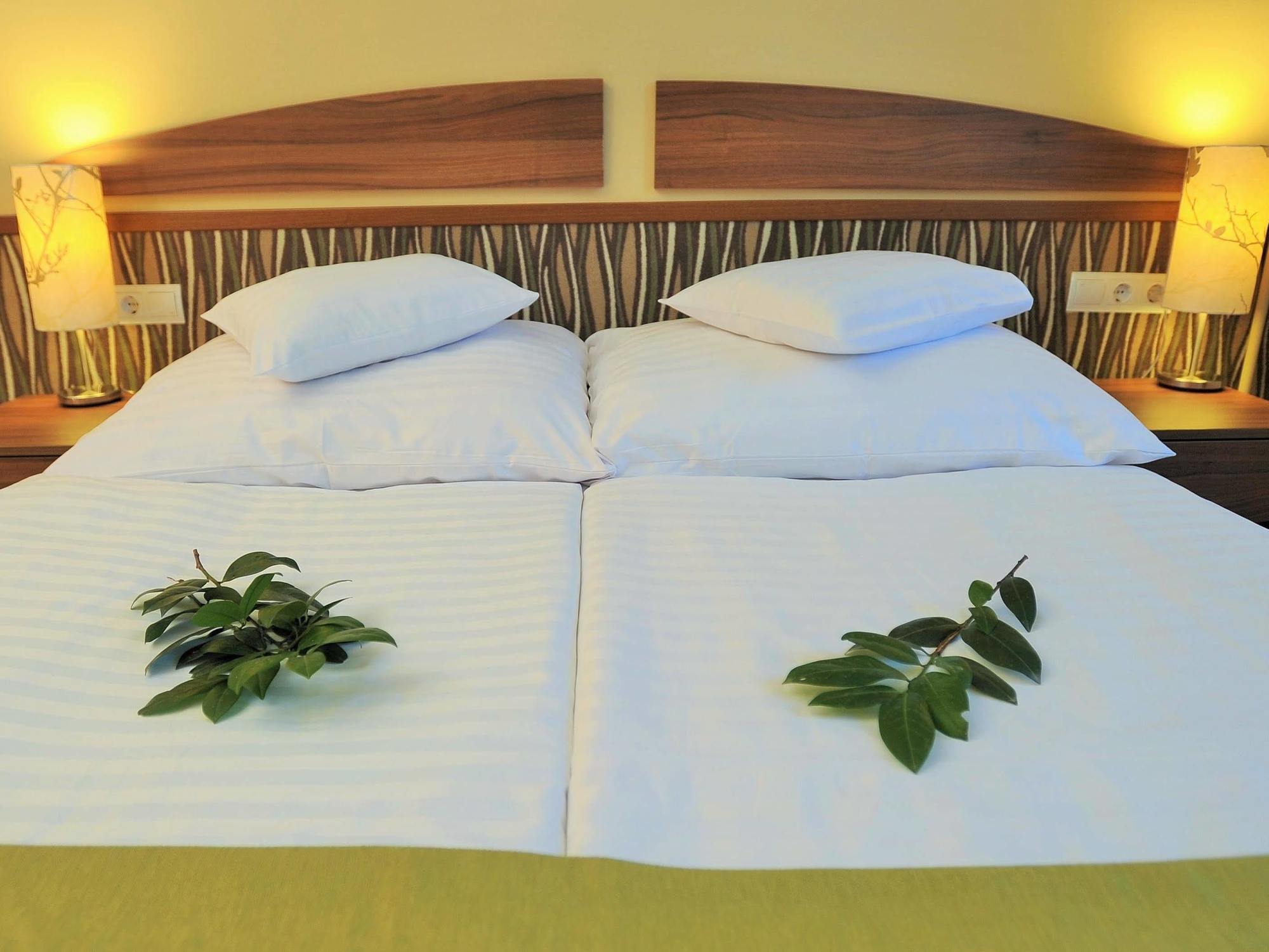 Park Hotel Gyula Ngoại thất bức ảnh